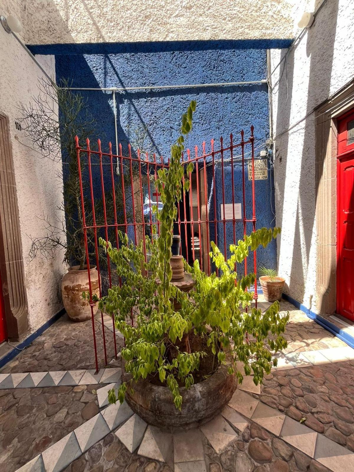 Lofts En Casa Azul Centro De Slp - Inmotega Apartment San Luis Potosi Bagian luar foto